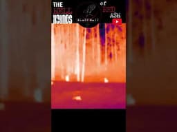 The Hellhounds of Red Ash Pt.3 #cryptids #horror #appalachia #paranormalinvestigation