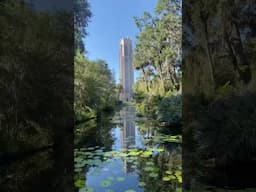 Garden Inspiration at Bok Tower Gardens 💚#gardens #gardeninspo #exploremore