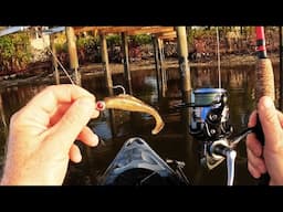 Hot Color in Dirty Water - EPIC Fail But Then a Trophy Fish!