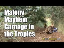 Maleny Mayhem-Carnage in the Tropics