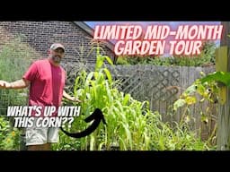 Limited Mid-Month June 2025 Garden Tour || DHBG