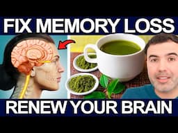 HOW TO REVERSE MEMORY LOSS - 100% SCIENTIFIC BASED AND EFFECTIVE