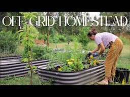 Our Homestead has Grown Wild!