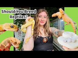 Overbred Reptiles In The hobby