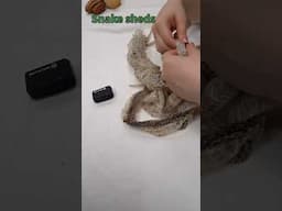 *ASMR* but make it Bio Dude #botanicals #snakes #bioactive