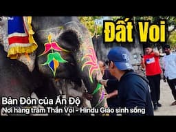🇮🇳 Ngôi nhà của Hậu Duệ Thần Voi Ấn Độ - Elephant Village in Jaipur India - First time impressions