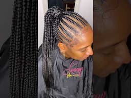 Braided ponytail 😍