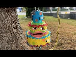 Life of A Piñata