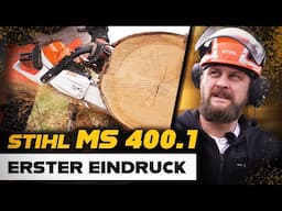 STIHL MS 400.1 🔥🤩 ENDLICH da!