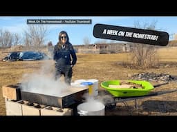 A Week On The Homestead | Making Maple Syrup