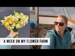 A Week Of Work On My Urban Flower Farm : Sunshine and Flora