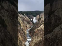 ANOTHER Grand Canyon? Yellowstone National Park