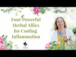 Four Powerful Herbal Allies for Cooling Inflammation