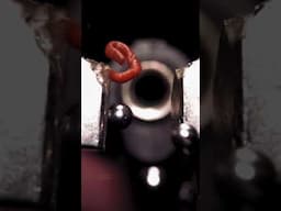 Bullet Between Magnets