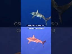 Is the GoPro Hero 13 or Osmo Action 5 Pro better for Underwater?