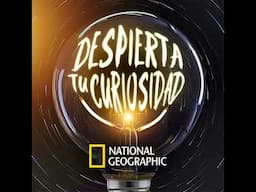 “Opus caementicium”, el secreto del Coliseo