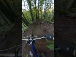 Can you believe this trail is in my backyard!?