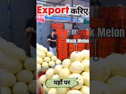 Fruit export business | muskmelon export #shorts #export #ytshorts #rajeevsaini