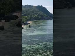 46 Seconds Can Change Your Life! Hidden Tropical Beaches #shorts #tropical #ocean #peace