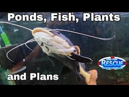 Stay Fishy Friday livestream  6/06/25