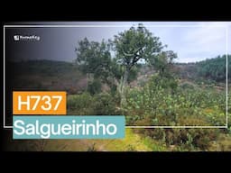 🌿 Off-grid rustic plot with stream, stone well & privacy –  H737 Salgueirinho - €5.500