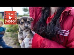 Network for Animals - Crusading against animal cruelty