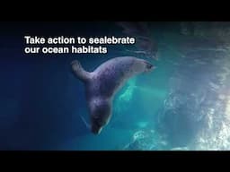 Protect Oregon's Underwater Worlds