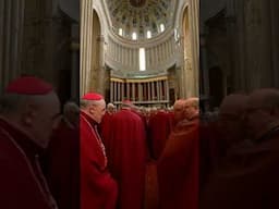 Cardenales en el Vaticano IA by Alex Vogager 📷