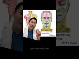 Dermatologist Explains: Shingles Affecfing the Face and Eye