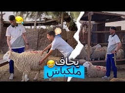 خويا صغير يخاف ملكباش🤣🤦🏻‍♂️