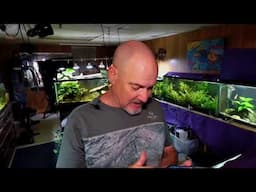 Sunday Fish N Hits w/ Dan