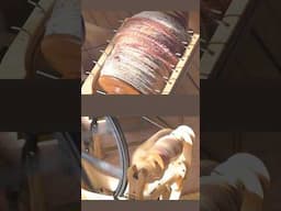 Plying my Spindle Yarn #spinningyarn #plyingyarn #spinningwheel #supportedspindle