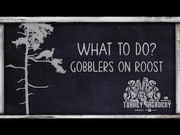 OnX Turkey Academy • Lesson 14 | Gobbler on Roost - What To Do