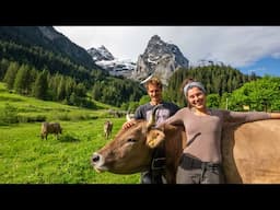 Z'Alp Alpine Season Switzerland Gschwandtenmad Jungfrau Region 4K