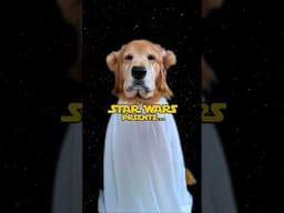 May the 4th be with you