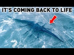 Scientists Uncover Something Alive Under the Ice in Antarctica