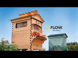 What’s inside a Flow Hive?