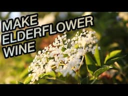 How to Make Elderflower Wine