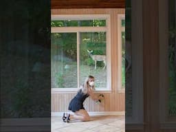 We share this home 🫶🏼 #home #deer