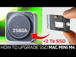 How to Upgrade M4 Mac Mini SSD For Less Than Half the Price!