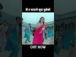 Khai Ta Mayale Kura Bujheko #newsong #binaraut