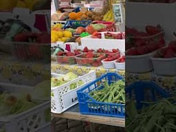 Rome, Italy 🇮🇹 Campo di Fiori Farmer's Market #shorts #rome #italy #farmersmarket #italyvacation