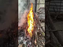 Happy Bhogi