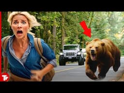 These Are Most Epic Bear Attacks Ever Recorded on Camera!