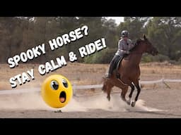 5 Essential Tips to Keep Your Young Horse CALM on First Rides