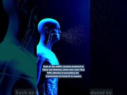 Were monkeys involved in the development of the Covid-19 vaccine? Fact-checking episode 12 #science