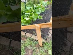 I have no idea how to build a cucumber trellis