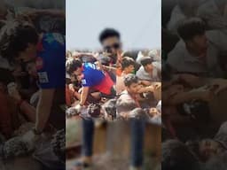 Chinnaswamy Stampede! Why?