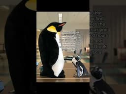 that feeling when you're a penguin — who can relate? flippers up! #booktubetbr