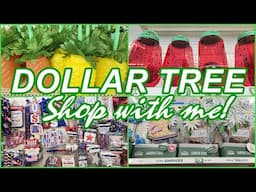 DOLLAR TREE NEW SUMMER ITEMS SHOP WITH ME 2025